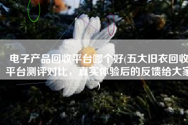 电子产品回收平台哪个好(五大旧衣回收平台测评对比，真实体验后的反馈给大家)