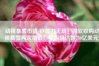 动视暴雪市值(钞能力无敌！微软收购动视暴雪再次加价，收购价达到750亿美元)