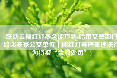 联动云闯红灯多久能查到(哈市交警部门约谈多家公交单位｜闯红灯等严重违法行为将被“叠加处罚”)