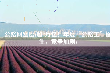 公路网密度(超2万亿！年度“公路王”诞生，竞争加剧)