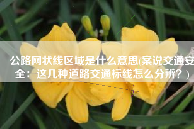 公路网状线区域是什么意思(案说交通安全：这几种道路交通标线怎么分辨？)