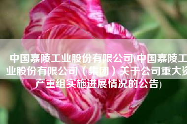 中国嘉陵工业股份有限公司(中国嘉陵工业股份有限公司（集团）关于公司重大资产重组实施进展情况的公告)