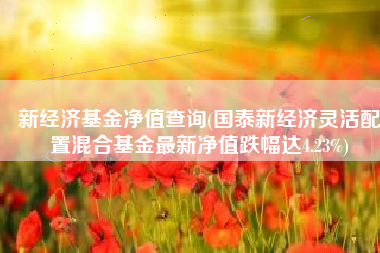 新经济基金净值查询(国泰新经济灵活配置混合基金最新净值跌幅达4.23%)