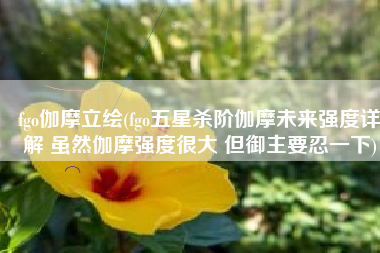 fgo伽摩立绘(fgo五星杀阶伽摩未来强度详解 虽然伽摩强度很大 但御主要忍一下)