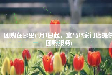团购在哪里(4月1日起，盒马12家门店提供团购服务)