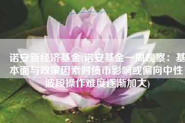 诺安新经济基金(诺安基金一周观察：基本面与政策因素对债市影响或偏向中性 波段操作难度逐渐加大)