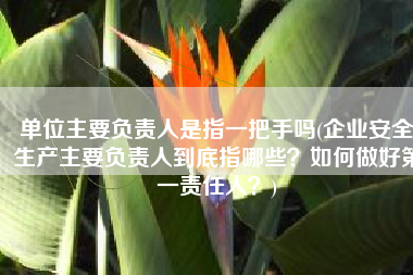 单位主要负责人是指一把手吗(企业安全生产主要负责人到底指哪些？如何做好第一责任人？)