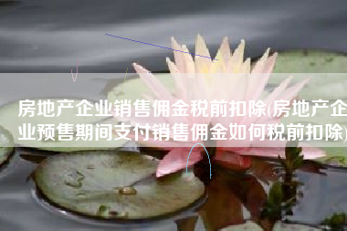 房地产企业销售佣金税前扣除(房地产企业预售期间支付销售佣金如何税前扣除)