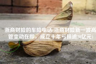 浙商财险的车险电话(浙商财险新一波高管变动在即，成立十年亏损逾20亿元)