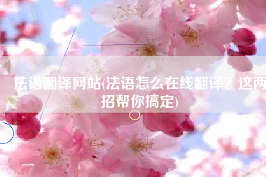 法语翻译网站(法语怎么在线翻译？这两招帮你搞定)
