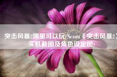 突击风暴2哪里可以玩(Nexon《突击风暴2》实机截图及角色设定图)