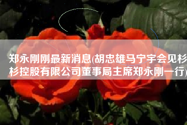 郑永刚刚最新消息(胡忠雄马宁宇会见杉杉控股有限公司董事局主席郑永刚一行)