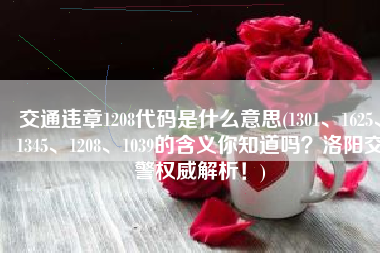 交通违章1208代码是什么意思(1301、1625、1345、1208、1039的含义你知道吗？洛阳交警权威解析！)