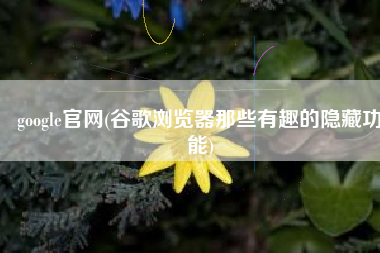 google官网(谷歌浏览器那些有趣的隐藏功能)