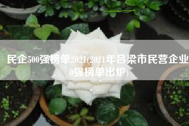 民企500强榜单2021(2021年吕梁市民营企业50强榜单出炉)