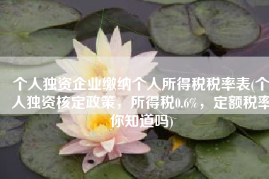 个人独资企业缴纳个人所得税税率表(个人独资核定政策，所得税0.6%，定额税率你知道吗)