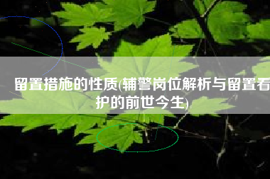 留置措施的性质(辅警岗位解析与留置看护的前世今生)