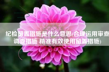 纪检留置措施是什么意思(合理运用审查调查措施 精准有效使用留置措施)
