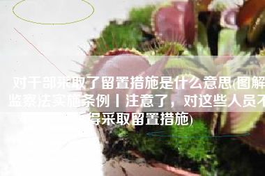 对干部采取了留置措施是什么意思(图解监察法实施条例丨注意了，对这些人员不得采取留置措施)