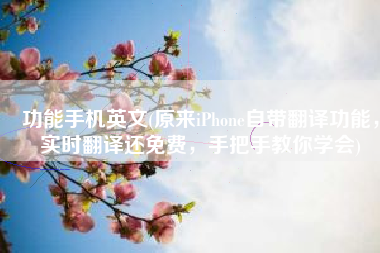 功能手机英文(原来iPhone自带翻译功能，实时翻译还免费，手把手教你学会)
