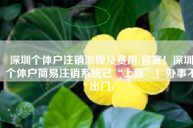 深圳个体户注销流程及费用(官宣！深圳个体户简易注销系统已“上新”！办事不出门)