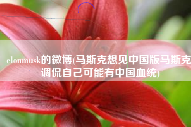 elonmusk的微博(马斯克想见中国版马斯克 调侃自己可能有中国血统)