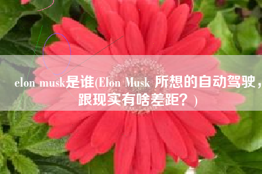 elon musk是谁(Elon Musk 所想的自动驾驶，跟现实有啥差距？)
