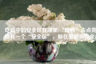 吃鸡中的安全区在哪里(“吃鸡”占点竞技有一个“安全区”，躲在里面很安全)