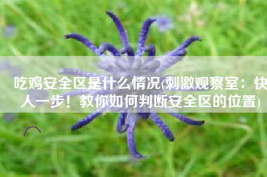 吃鸡安全区是什么情况(刺激观察室：快人一步！教你如何判断安全区的位置)