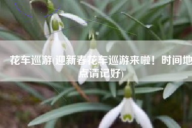 花车巡游(迎新春花车巡游来啦！时间地点请记好)