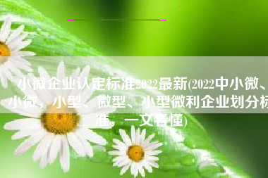 小微企业认定标准2022最新(2022中小微、小微，小型、微型、小型微利企业划分标准，一文看懂)