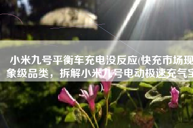 小米九号平衡车充电没反应(快充市场现象级品类，拆解小米九号电动极速充气宝)