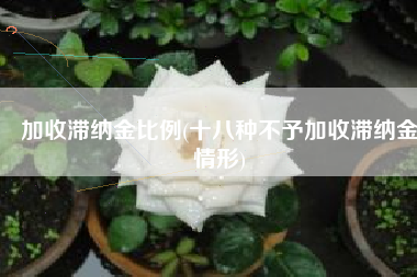 加收滞纳金比例(十八种不予加收滞纳金情形)