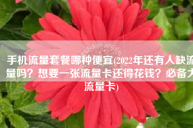 手机流量套餐哪种便宜(2022年还有人缺流量吗？想要一张流量卡还得花钱？必备大流量卡)