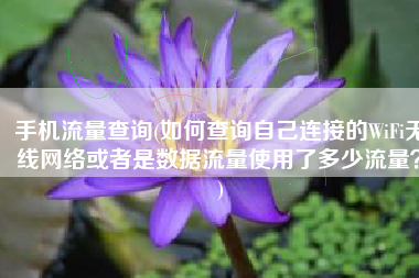 手机流量查询(如何查询自己连接的WiFi无线网络或者是数据流量使用了多少流量？)