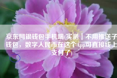 京东网银钱包手机端(实测｜不用推送子钱包，数字人民币在这个App可直接线上支付了)