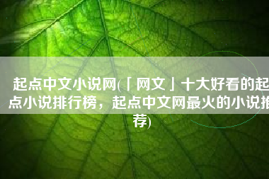 起点中文小说网(「网文」十大好看的起点小说排行榜，起点中文网最火的小说推荐)