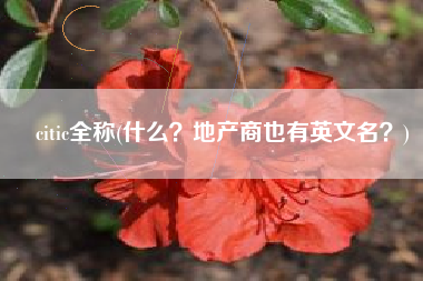 citic全称(什么？地产商也有英文名？)