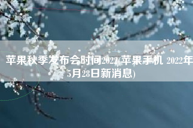 苹果秋季发布会时间2022(苹果手机 2022年05月28日新消息)