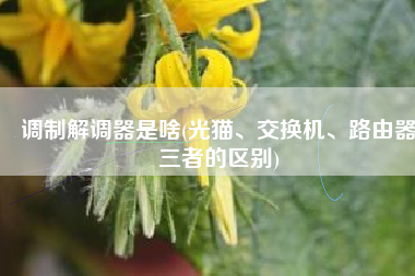 调制解调器是啥(光猫、交换机、路由器三者的区别)