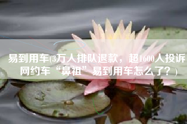 易到用车(3万人排队退款，超1600人投诉，网约车“鼻祖”易到用车怎么了？)