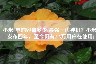 小米6电池容量多少(最强一代神机？小米6发布四年，至今仍有215万用户在使用)