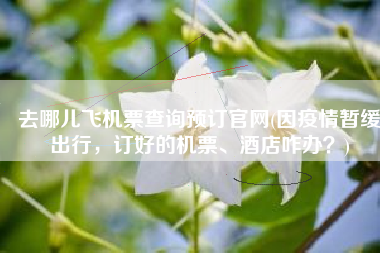 去哪儿飞机票查询预订官网(因疫情暂缓出行，订好的机票、酒店咋办？)