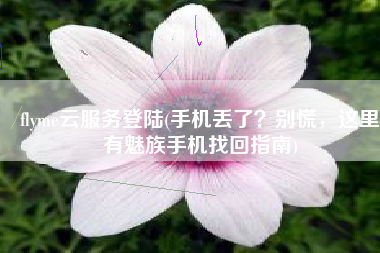 flyme云服务登陆(手机丢了？别慌，这里有魅族手机找回指南)