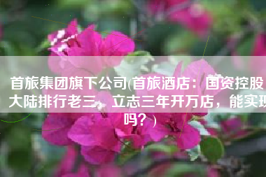 首旅集团旗下公司(首旅酒店：国资控股，大陆排行老三，立志三年开万店，能实现吗？)
