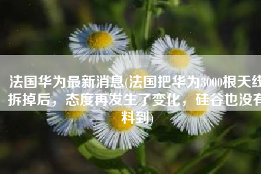 法国华为最新消息(法国把华为3000根天线拆掉后，态度再发生了变化，硅谷也没有料到)
