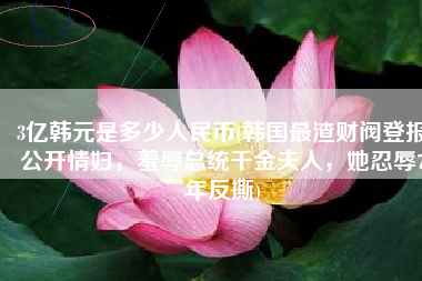 3亿韩元是多少人民币(韩国最渣财阀登报公开情妇，羞辱总统千金夫人，她忍辱7年反撕)