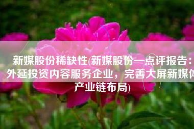 新媒股份稀缺性(新媒股份—点评报告：外延投资内容服务企业，完善大屏新媒体产业链布局)