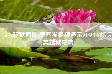 ios9越狱网址(黑客发视频演示iOS9 GM版完美越狱成功)