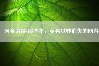 网金游侠(那些年，莫名其妙消失的网游)